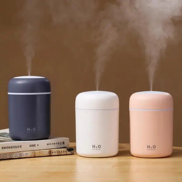 H20 Humidificador