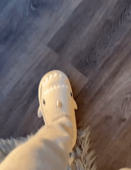 Shark Slippers [Sandalias de Tiburón]